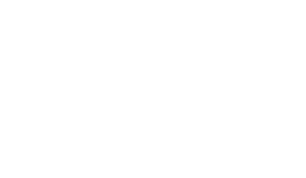 Van Paesschen Equestrian